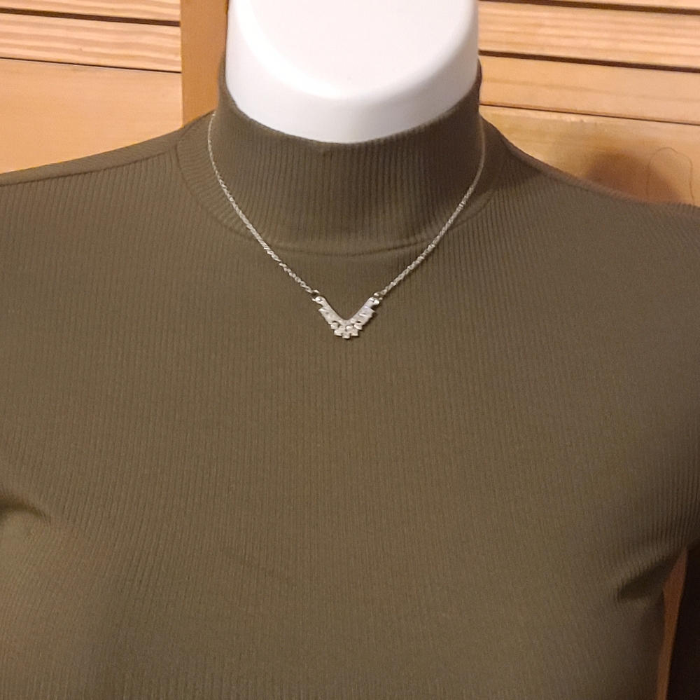 Paparazzi necklace and earing set. NWT